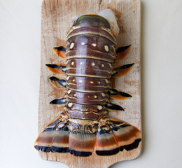 A spiny lobster lobster on a wooden cutting board. 