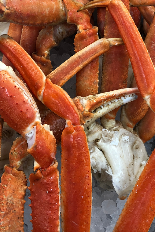 Close-up of snow crab clusters on ice
