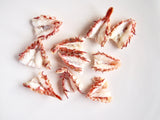 Cooked Split Clean Rock Shrimp thumbnail