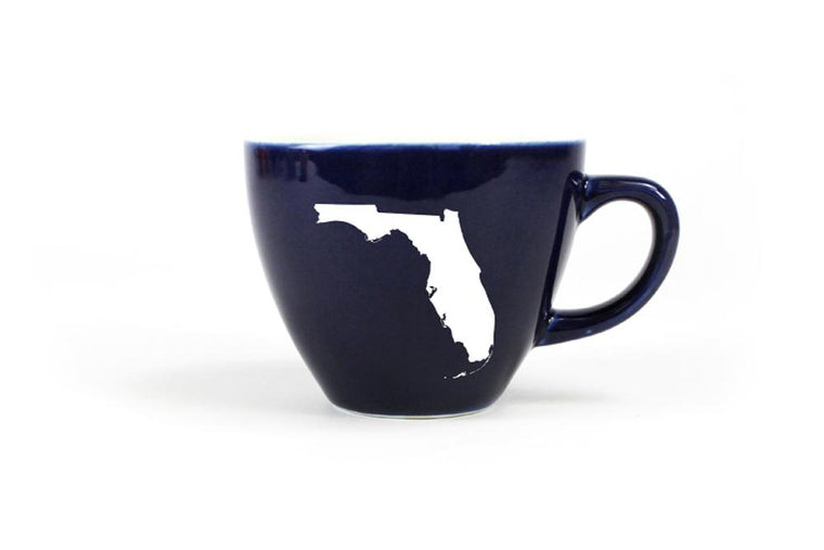Creature Cups Florida Turtle