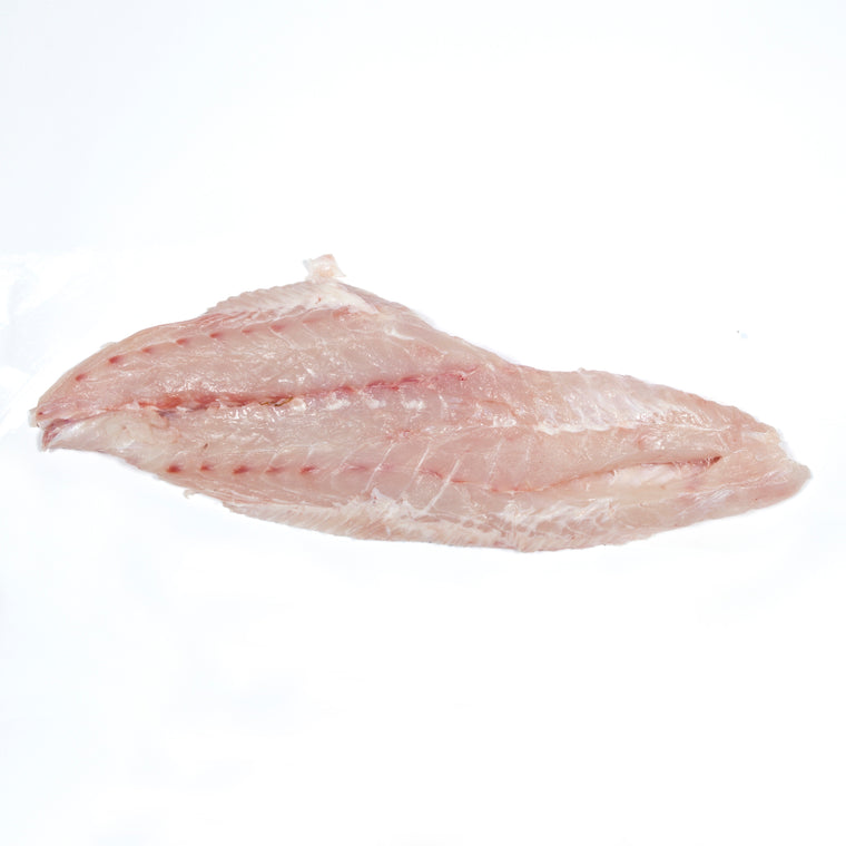 Grouper Fillet