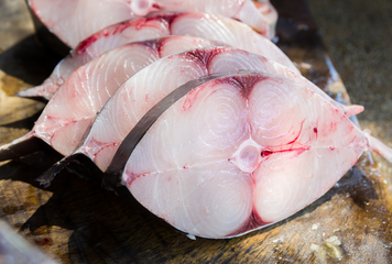 King mackerel fish steaks displayed on a surface. 
