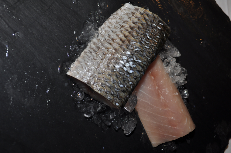 A mullet fillet on ice, displaying its scales and flesh.