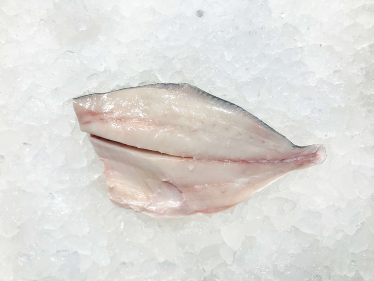 Pompano Fillet