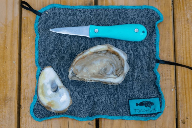 Oyster knife, shucked oyster on top of cut-proof oyster shucking cloth