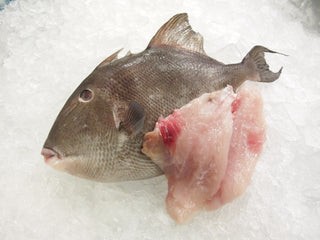 Whole Triggerfish and Fillet 